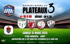 U11 PROMOTION - PLATEAU A SARRY