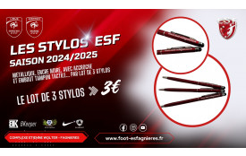 Les Stylos ES Fagnières - Saison 2024/2025