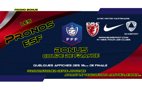 Pronos ESF/Ekinsport, c'est ici....jusqu'à vendredi 20/01